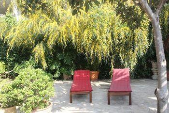 Casa Palmeras (adults Only) Hotel