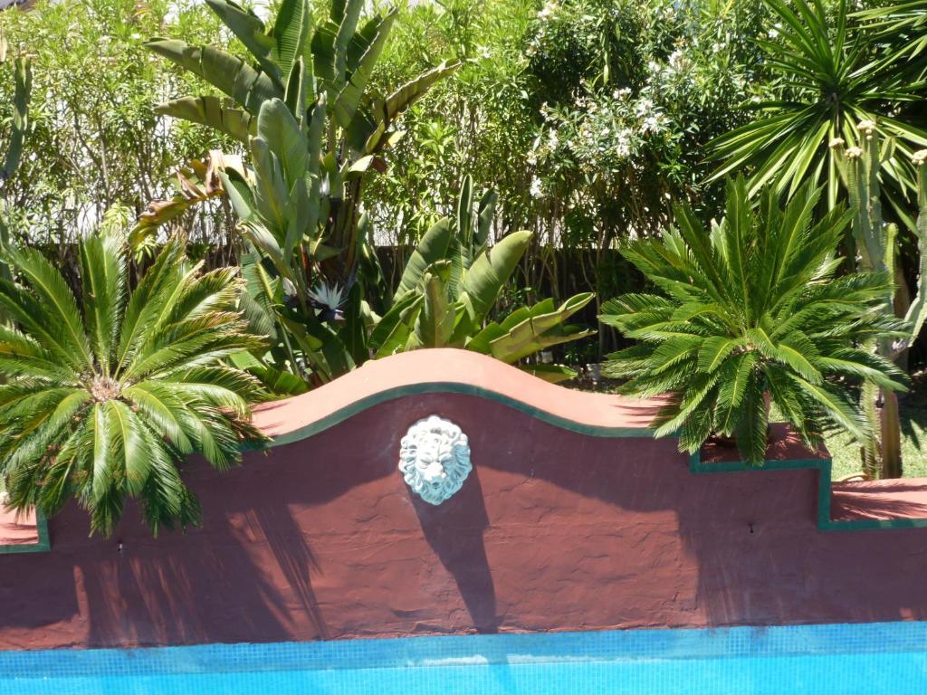 Hotel Casa Palmeras (adults Only)