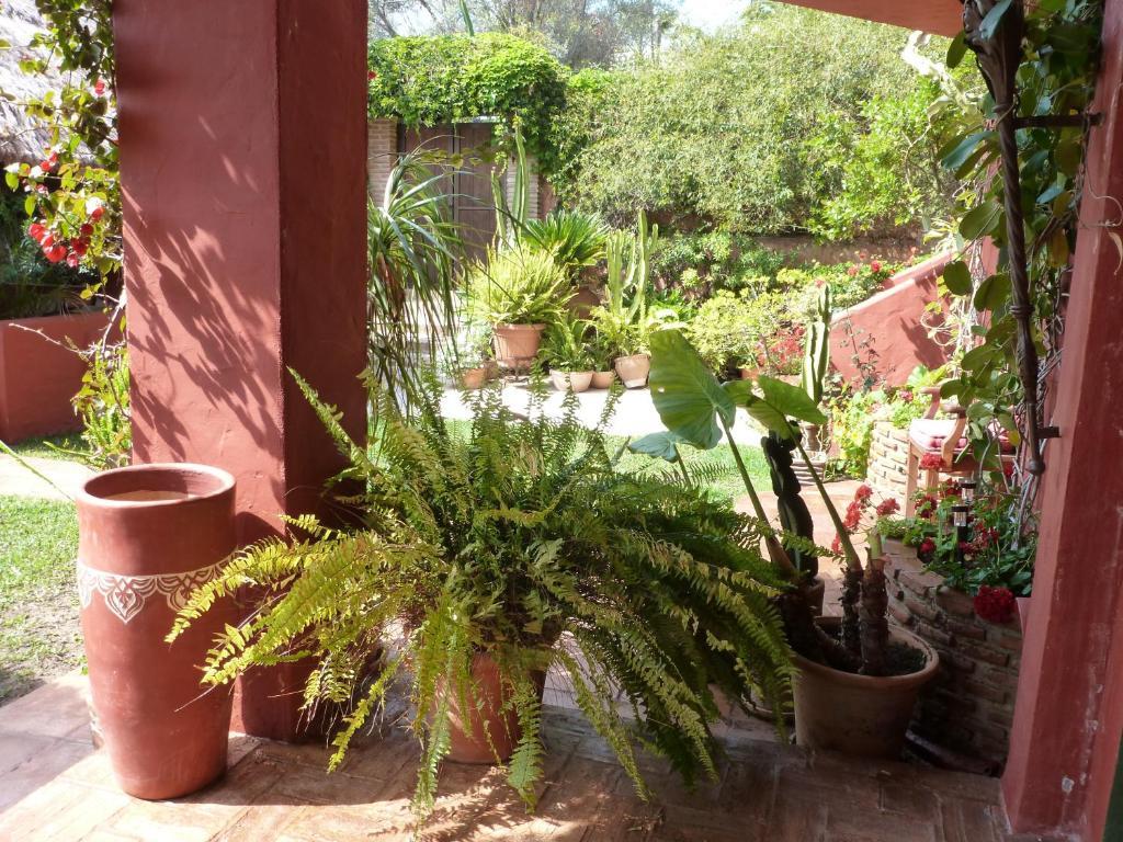Hotel Casa Palmeras (adults Only)