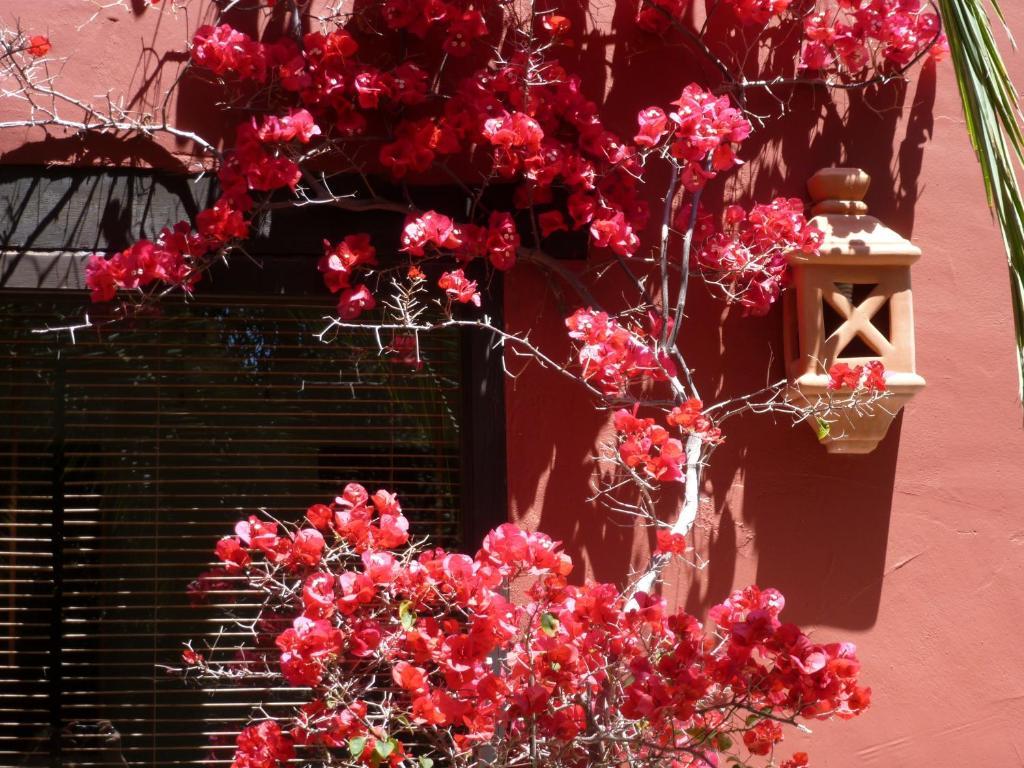 Casa Palmeras (adults Only) Marbella