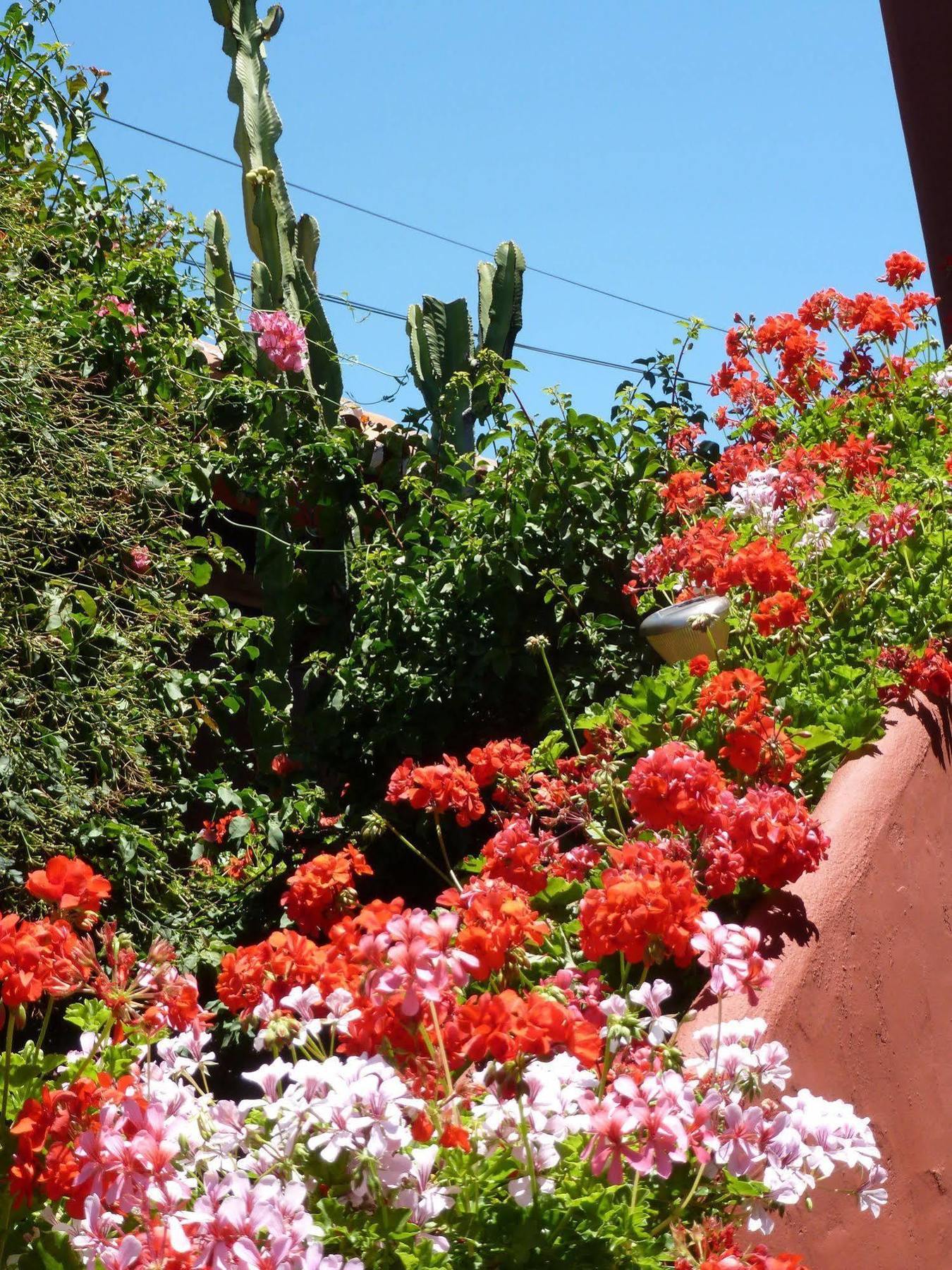 Hotel Casa Palmeras (adults Only)