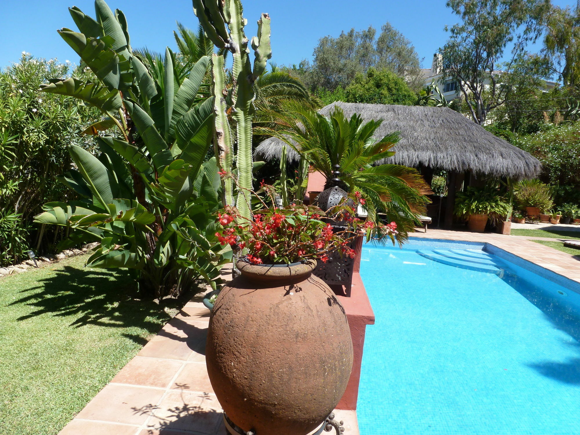 Casa Palmeras (adults Only) Hotel