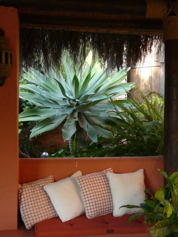 Casa Palmeras (adults Only) 3*