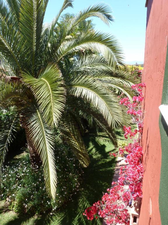 Casa Palmeras (adults Only) Hotel Marbella