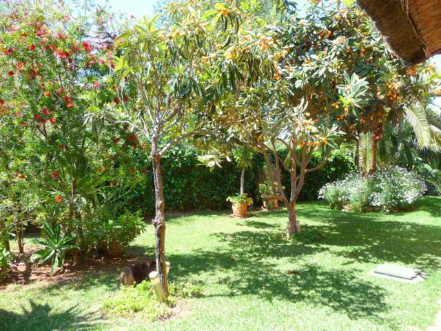 Hotel Casa Palmeras (adults Only)