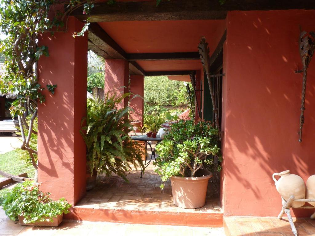 Hotel Casa Palmeras (adults Only) 3*