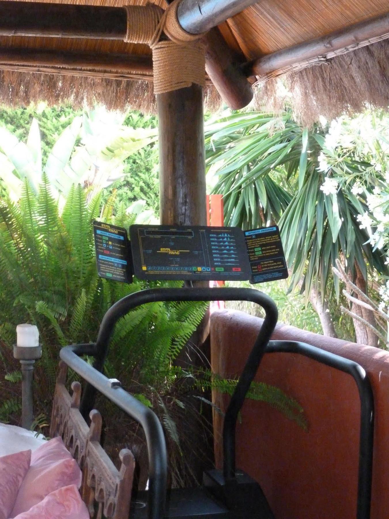 Hotel Casa Palmeras (adults Only)